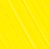 Image Citron permanent Williamsburg